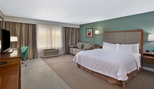 Room, 1 King Bed with Sofa bed, Accessible, Non Smoking