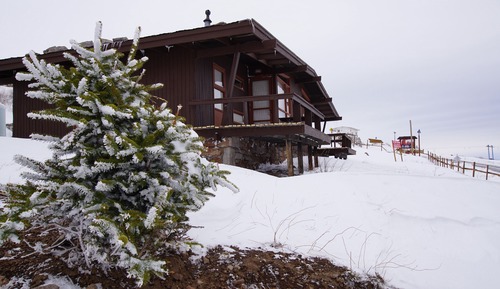 Family Bungalow