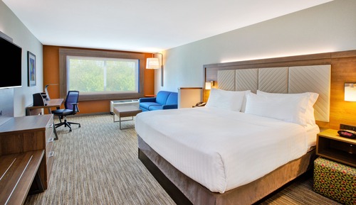 Suite, 1 King Bed