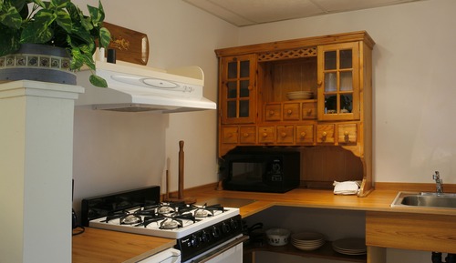 Queen Efficiency, Kitchenette,( #9) (Dog Friendly)