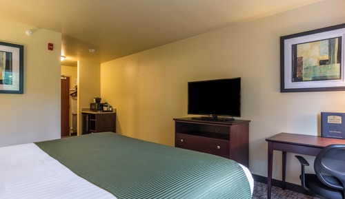 Room, 1 King Bed, Non Smoking