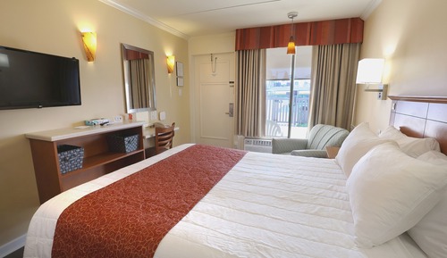 Standard Single Room, 1 Queen Bed, Pool View