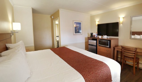Standard king room