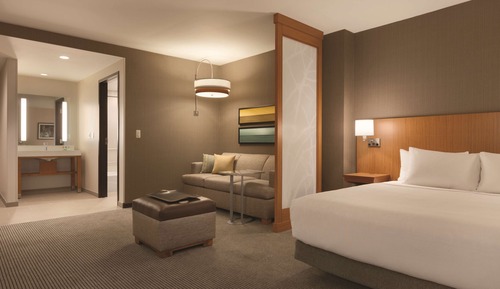 Room, 1 King Bed with Sofa bed (High Floor)