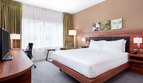 Room, 1 Queen Bed