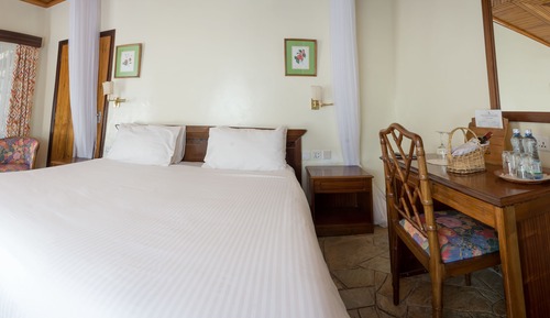 Standard Room, 2 Twin Beds