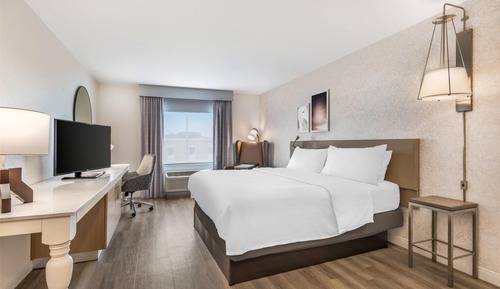 Room, 1 King Bed