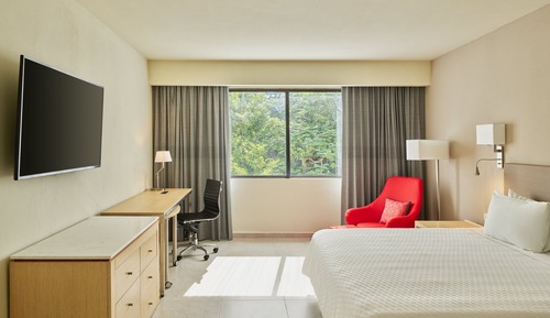 Executive Room, 1 King Bed