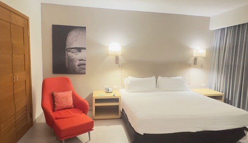 Room, 1 King Bed (The Big Room)