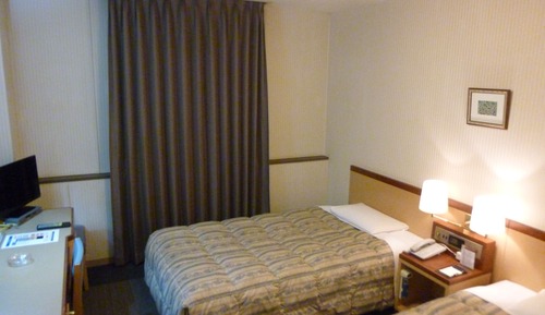 Deluxe Twin Room, Non Smoking