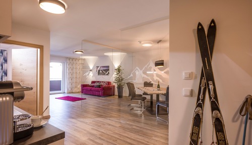 Apartment (Gipfelstürmer,plus cleaning fee 95,-€)