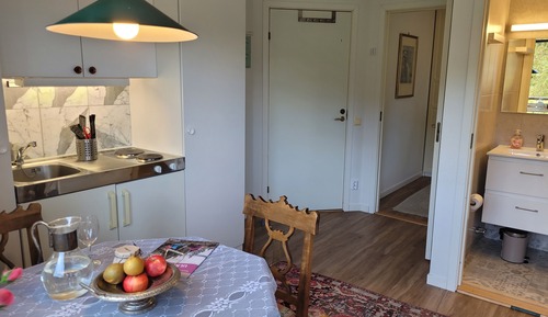 Apartment (1 Bedroom with Balcony)