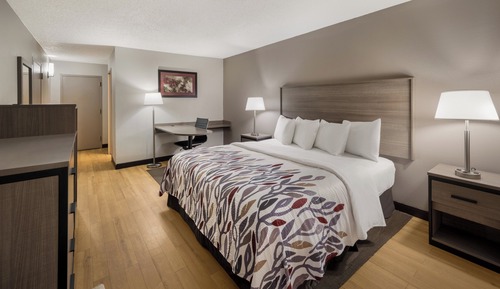 Superior Room, 1 King Bed, Non Smoking