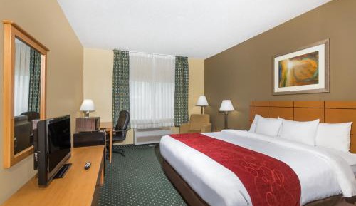 Queen Room - Accessible/Non-Smoking