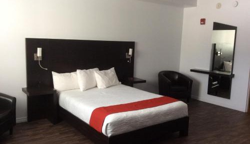 Standard Queen Room