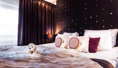 Arctic Double Room
