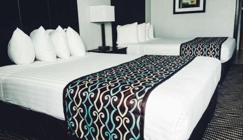 Queen Room with Two Queen Beds - Non-Smoking