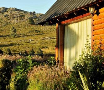 Family Cabin (6 Adults)