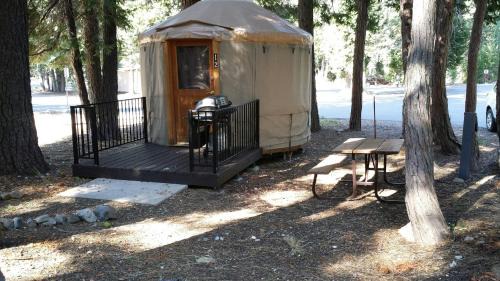 Studio Yurt