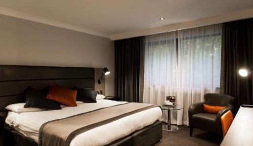 Standard King Room