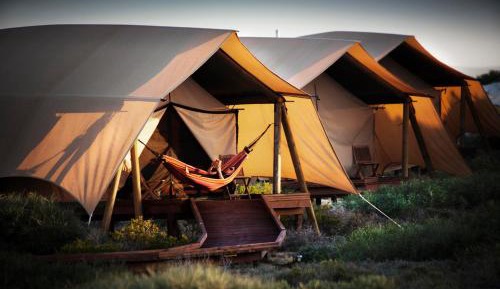 Wilderness Tent