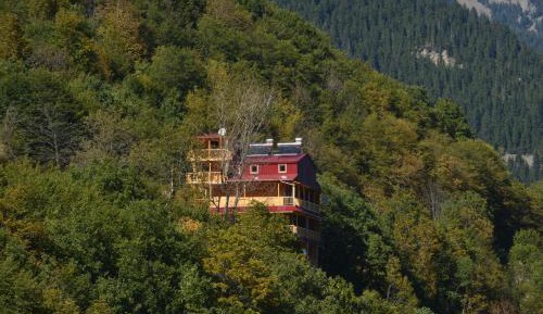 Double Room with Mountain View