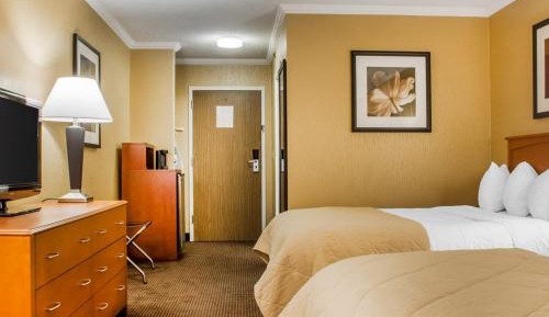 Queen Room with City View - Non-Smoking