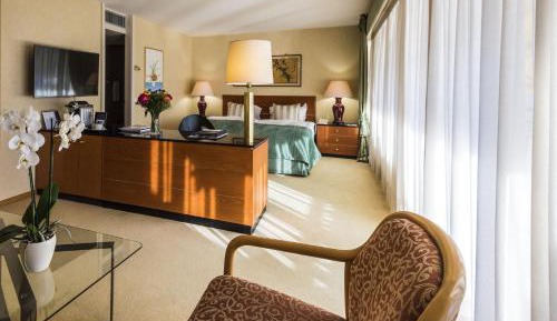 Junior Suite with Balcony and Lake View