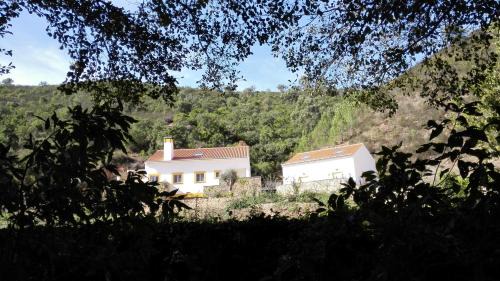 Studio with Garden View