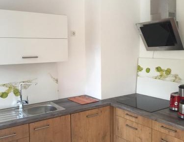 One-Bedroom Apartment with Park View