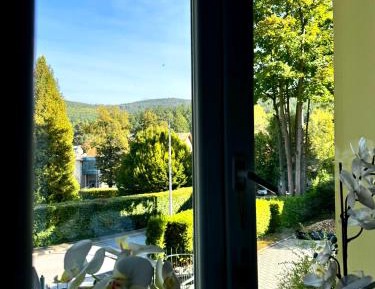 Suite with Mountain View
