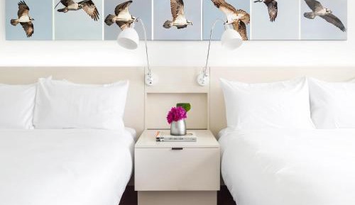 Deluxe Queen Room
