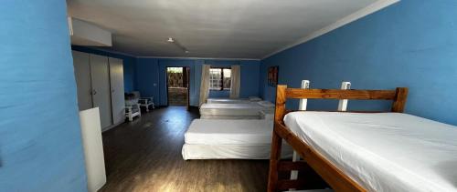 Bed in 6-Bed Mixed Dormitory Room