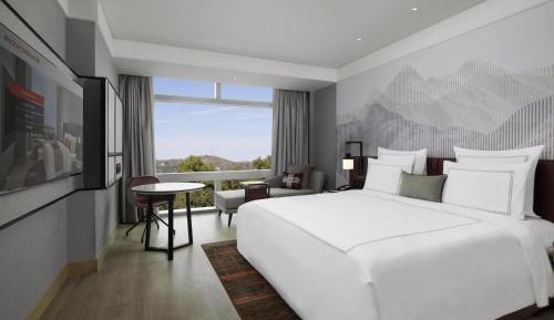 Premium King Room