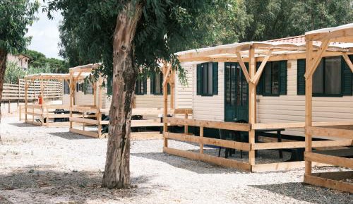 Mobile Home