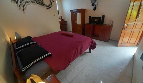 Queen Room with Garden View