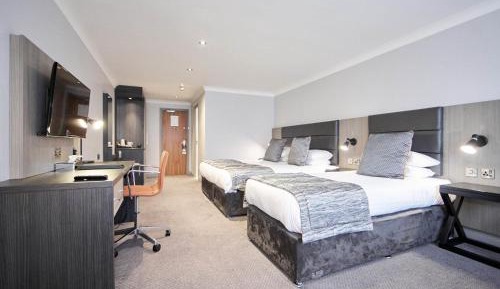 Standard Family Room with King Bed and Single Bed