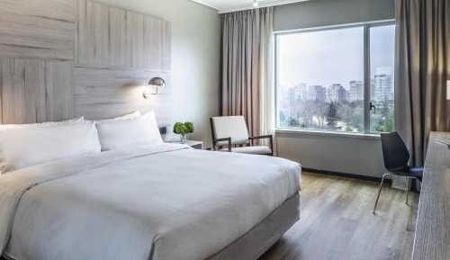 Deluxe King Room with View