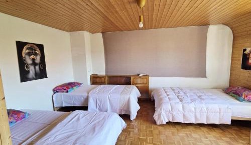 Basic Triple Room with Shared Bathroom