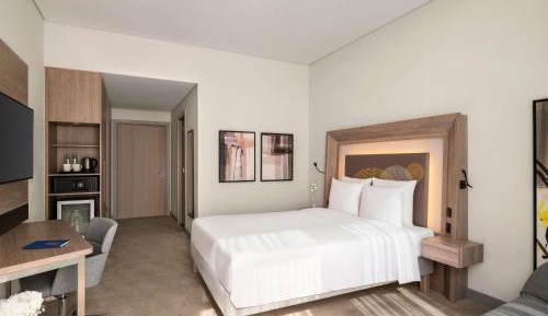 Superior Room with 1 Double Bed and 1 Sofa Bed