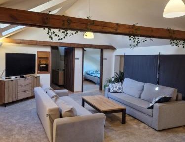 Three-Bedroom Apartment - High Floor