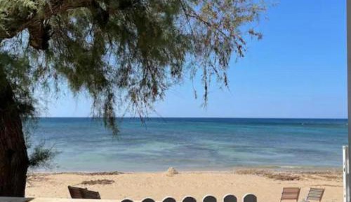 Superior One-Bedroom Apartment