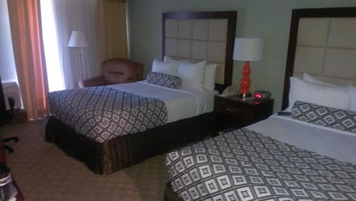 Double Room with Two Double Beds and Pool View - Non-Smoking