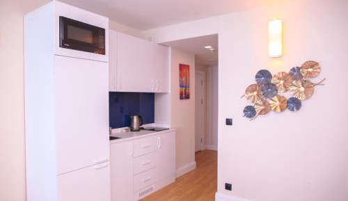 One-Bedroom Family Apartment