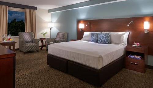 Deluxe King Room - Non-Smoking