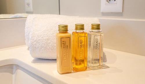 Deluxe One-Bedroom Apartment