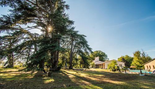 Double Room with Pool View