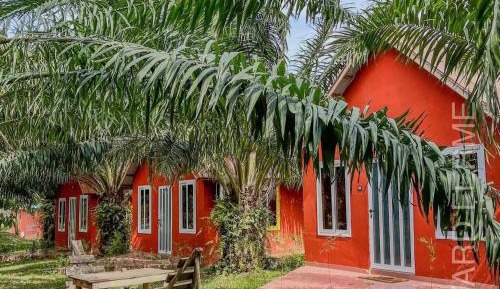 Family Room with Garden View