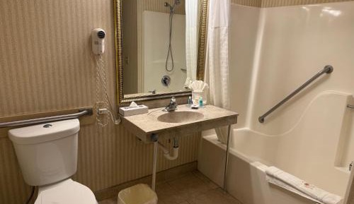 King Room with Roll-In Shower - Disability Access