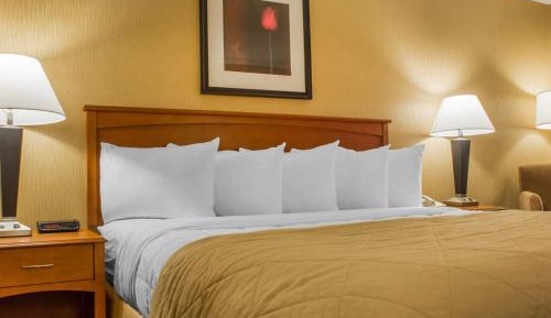 King Room with City View - Non-Smoking